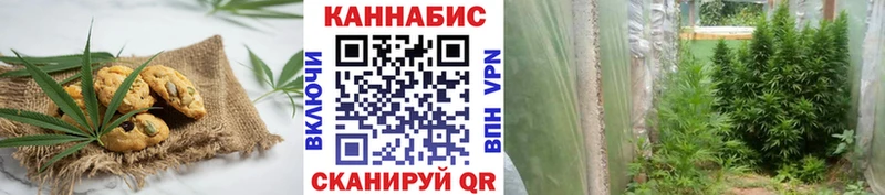 Печенье с ТГК марихуана продажа наркотиков Алексин