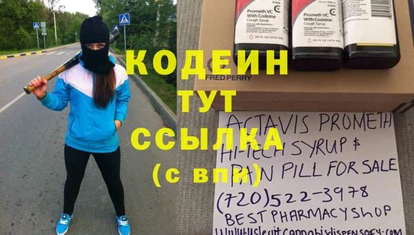 прущие крисы Пересвет