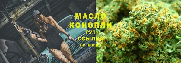 дмт Пестово