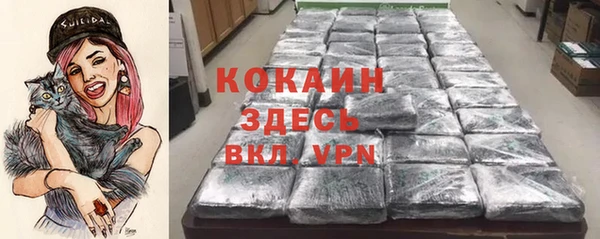 прущие крисы Пересвет