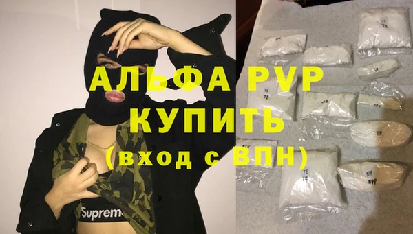 прущие крисы Пересвет