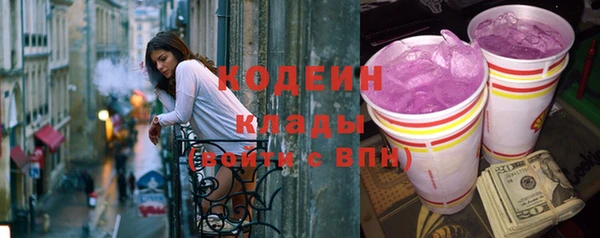 дмт Пестово