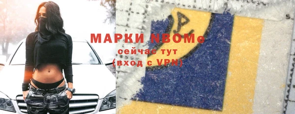 дмт Пестово