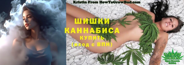 прущие крисы Пересвет