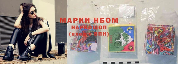 дмт Пестово