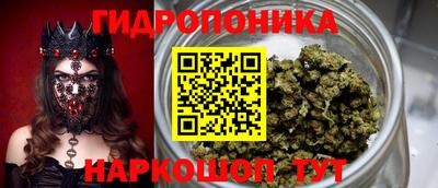 шишки Абинск