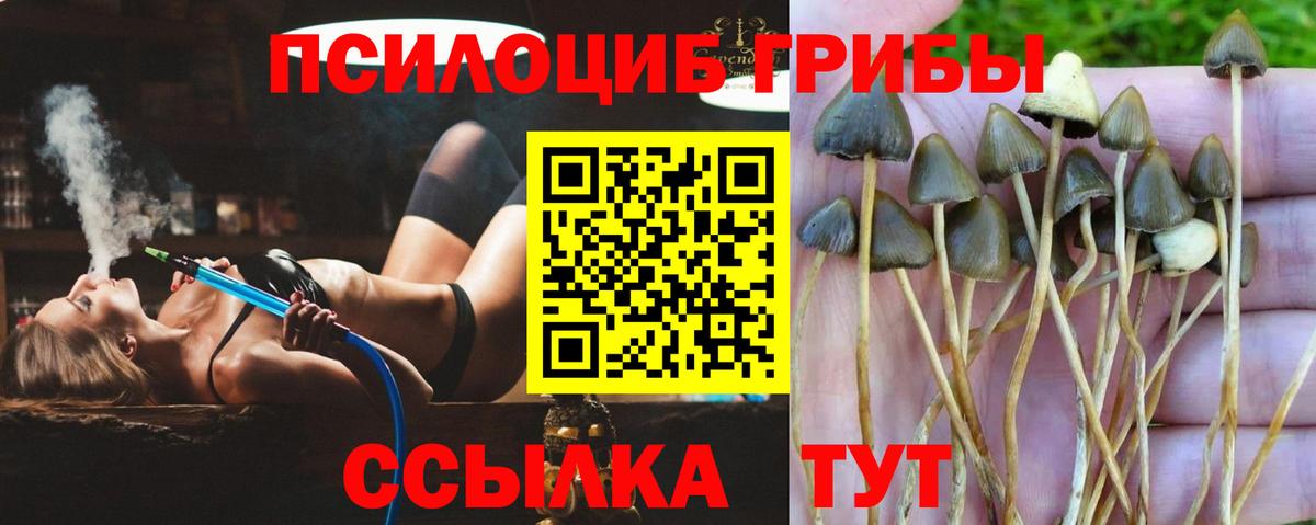 Псилоцибиновые грибы MAGIC MUSHROOMS Алексин